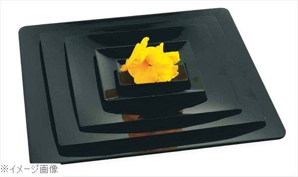 ソリア フルイド ブラック PL20243(10入)110×110拍卖