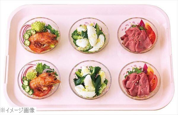 FRP プリセットトレー H-6000 440×310×H28拍卖