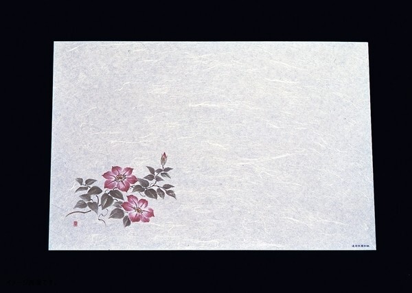 尺三 懐石まっと 抗菌遠赤和紙(100枚入)鉄仙 WS-12拍卖