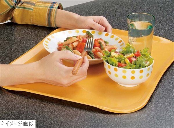 キャンブロ センチュリーカムトレー 1520C(171)タスカンゴールド拍卖