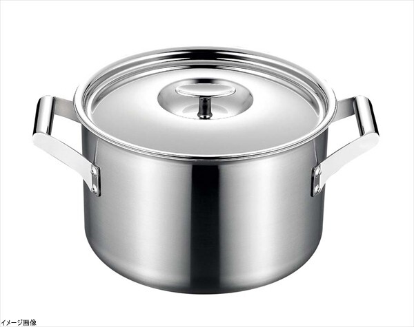 フジノス エレックマスタープロ(IH対応) 20cm両手深鍋 116093拍卖