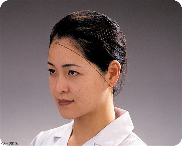 パル ヘアーネット(100枚入) T20662 Sサイズ拍卖