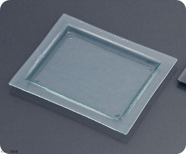 タイガーグラス レクタンギュラープレート 061-192-12 クリア拍卖