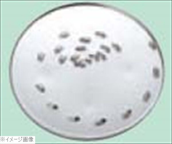 クイジナート中型用 ミディアムシュレッダー DLC-037TXJ拍卖