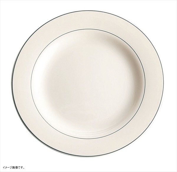 ガストロノミー ディナー皿 φ270mm 75373(52771)拍卖