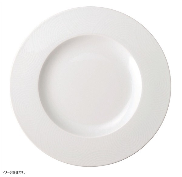 COSTA VERDE ECOS プレート 29cm CV2901 (EC)拍卖