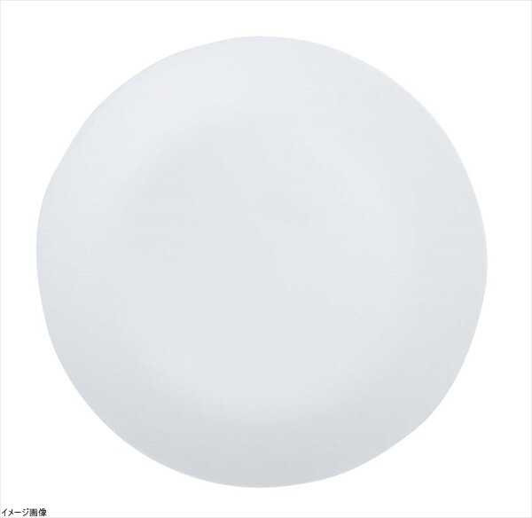 コレール プレート 皿 外径26cm 割れにくい 軽量 ウインターフロストホワイト 大皿 J110-N CP-8910拍卖