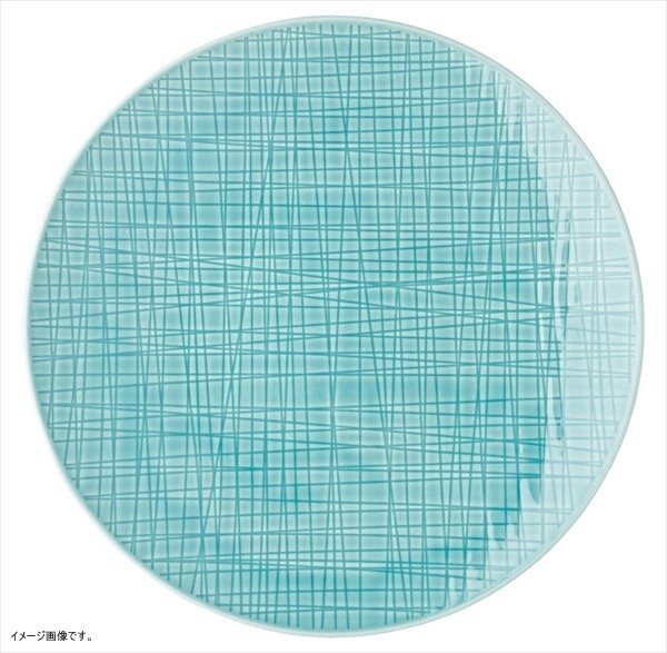リック 【業務用】 RT メッシュ 405152ー10864 ラウンドプレート24cmフラット <RLCO701>拍卖