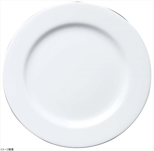 MIYAWO ファッションホワイト25cmプレート FM900-200拍卖
