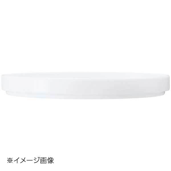 N4 TypeII 20cm プレート マットホワイト 1752T/11504拍卖