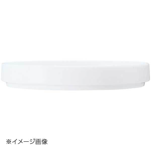 N4 TypeII 15cm プレート/カバー マットホワイト 1752T/11503拍卖