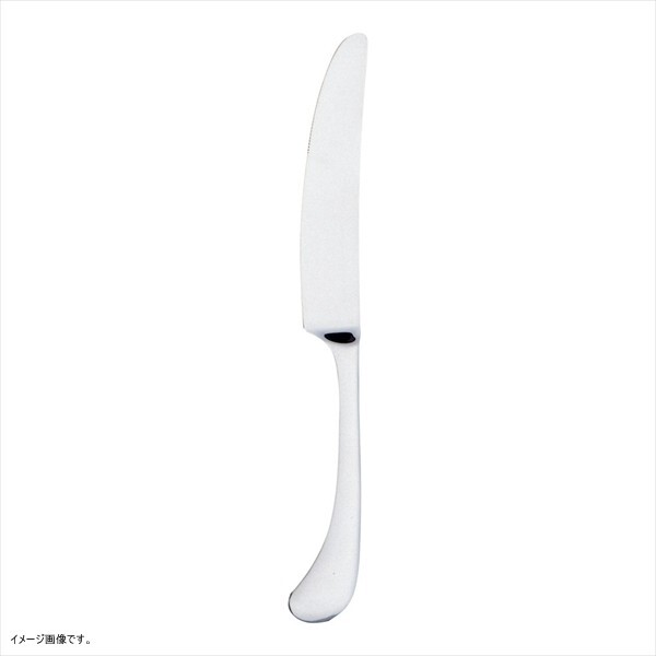 TKG 18-8 ピカソテーブルナイフ(刃付) OPK010300拍卖