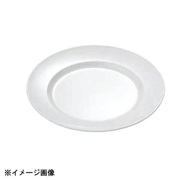 エンテック No.24W 平皿リム型10吋 250 (白) 320020拍卖