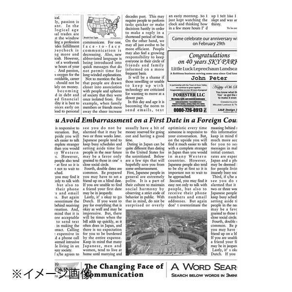 アーテック株式会社 ラミニュースペーパー(300枚入) RP-NA4E拍卖