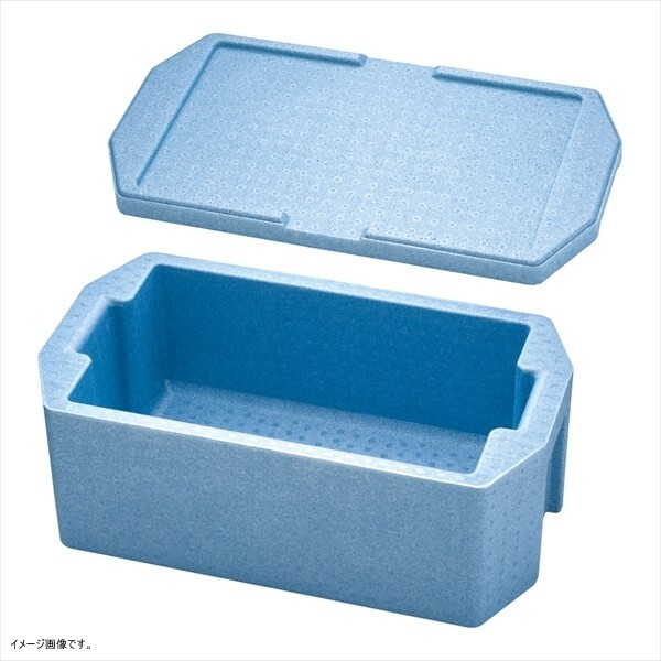 ダイキュウ 【業務用】 ホテルパン専用コンテナ- ホット&クール 1/1用 RH-190型 <AKVQ603>拍卖