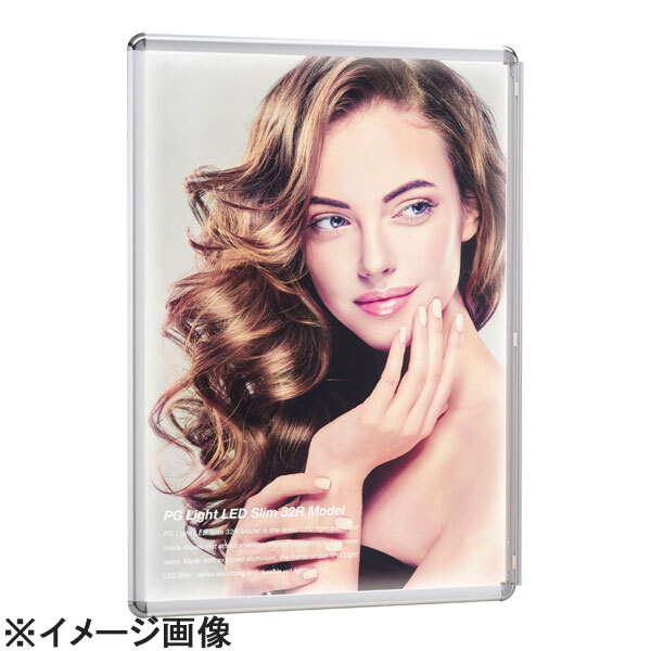 シンエイ PGライトLEDスリム壁付仕様 PG-32RA1シルバー (YPN0903)拍卖