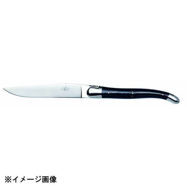 テーブルナイフ ブラックCFハンドル T62MINTC NOI拍卖