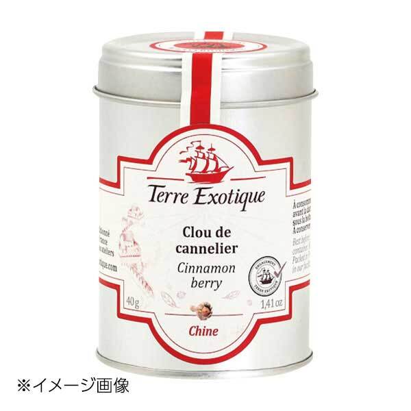 テールエグゾティック シナモンペッパー 40g缶 TE0044-01拍卖