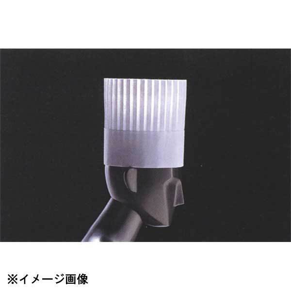 ダック パリスハットPH-30 (10枚入) 378450拍卖