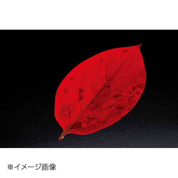 ヤマコー 用美 PP貼合せ 型抜きクリアシート 柿の葉 (200枚入) 65369拍卖