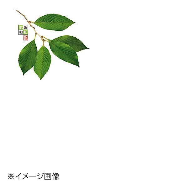 ヤマコー 用美 4寸 抗菌この葉敷紙 桜 (100枚入) 66782拍卖