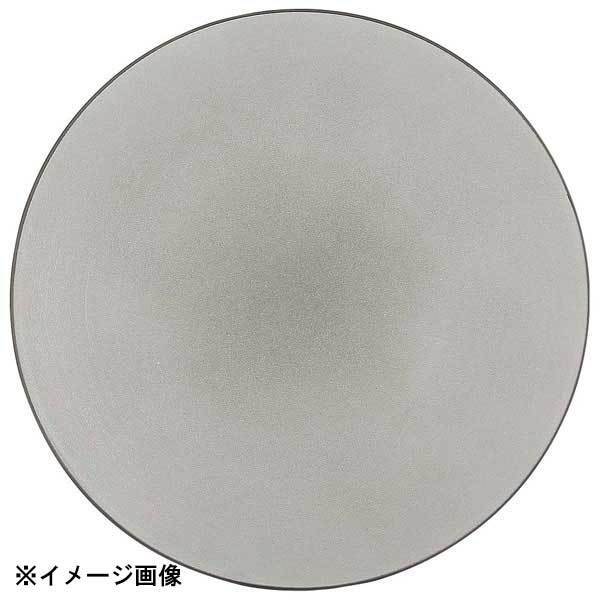 レヴォル エキノクス ディナープレート 24cm ペッパー 650431拍卖
