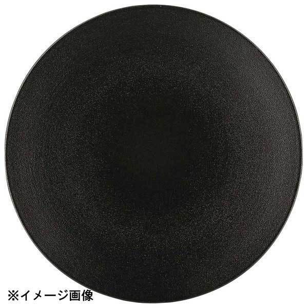 レヴォル エキノクス デイナープレート ブラック φ260 650420拍卖