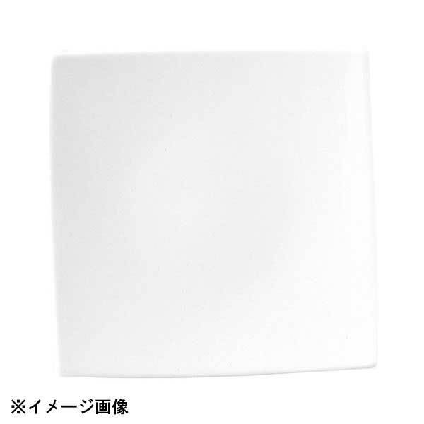 光洋陶器 KOYO トロンバ 25cm スクエアープレート 17600062拍卖