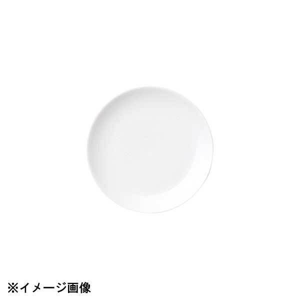光洋陶器 KOYO イマージュ 13.5cm クープ皿 18300009拍卖