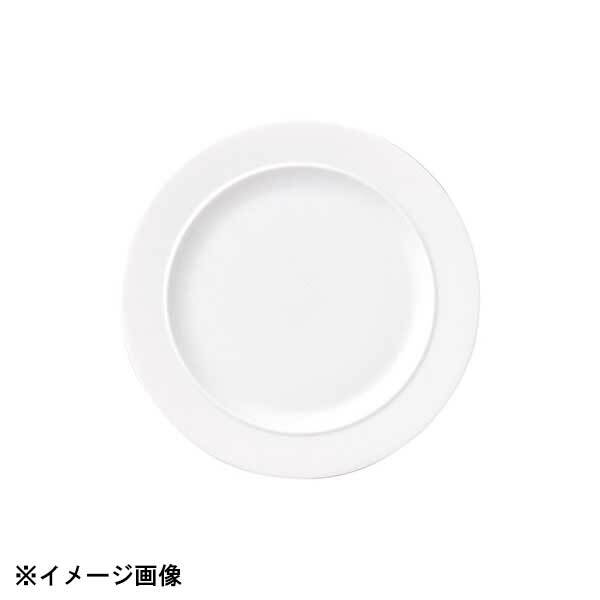 光洋陶器 KOYO モンターニュ 19.5cm プレート 12700006拍卖