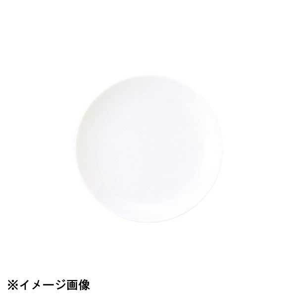 光洋陶器 KOYO パーゴラ 13.5cm クープ皿 14800009拍卖