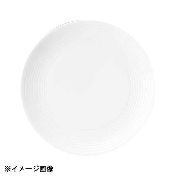 光洋陶器 KOYO アルバ 19cm プレート 11800006拍卖