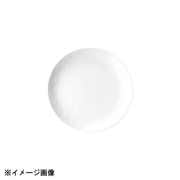 光洋陶器 KOYO グレース ホワイト パス 25.5cm クープ皿 14101003拍卖