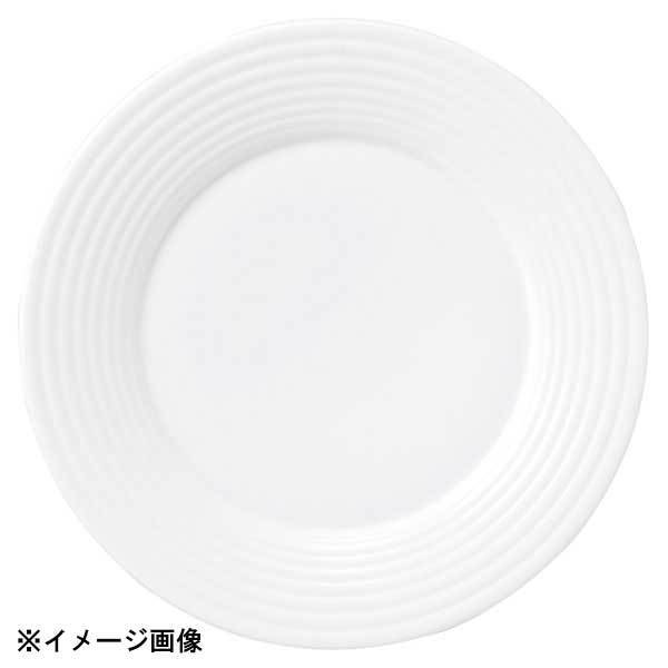 光洋陶器 KOYO アルバ 24.5cm リムプレート 17800003拍卖