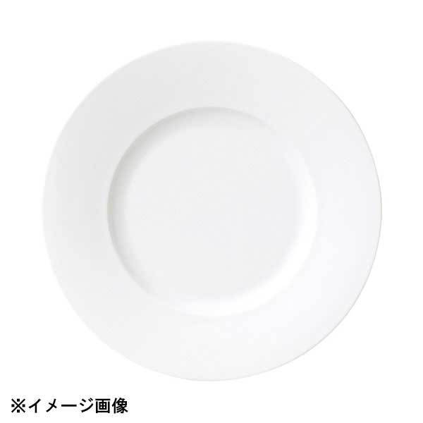 光洋陶器 KOYO ジャルディン 27.5cm リムプレート 18000002拍卖