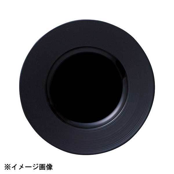 光洋陶器 KOYO ナイトストリーム 24cm リムプレート マット&シャイニーブラック 19630004拍卖