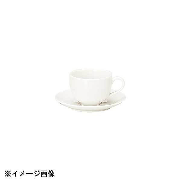 光洋陶器 KOYO カンティーヌ カプチーノカップ カップのみ 12220052拍卖