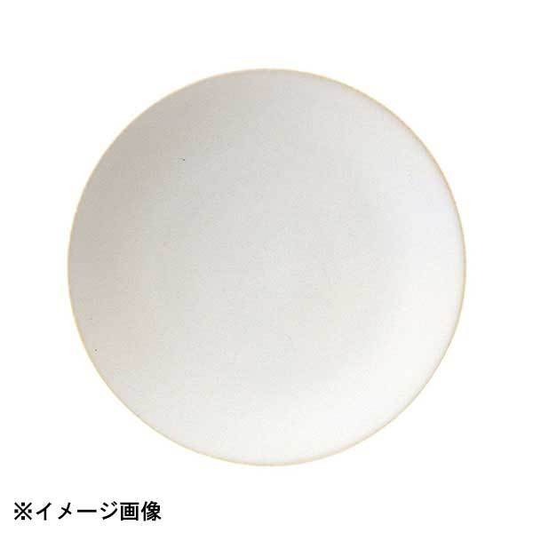 光洋陶器 KOYO パティオ オフホワイト 27.5cm 皿 14720002拍卖