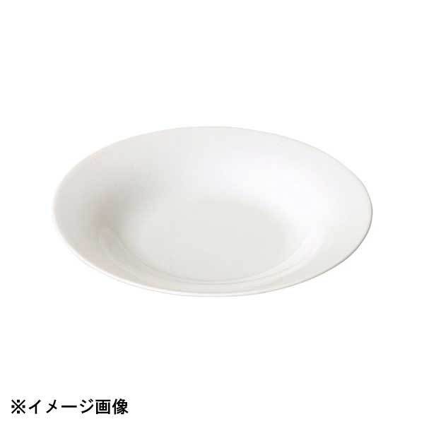 光洋陶器 KOYO アトラース 23cm スープボウル 25220011拍卖