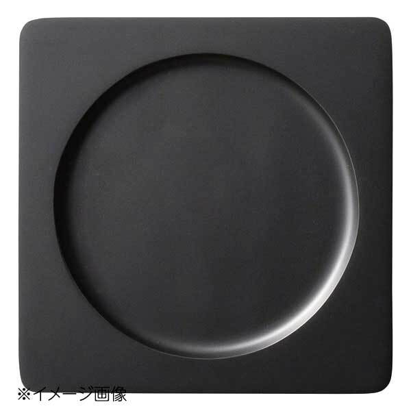 桐井陶器 モデルノ MODERNO 23cm多用トレイ 10-313拍卖