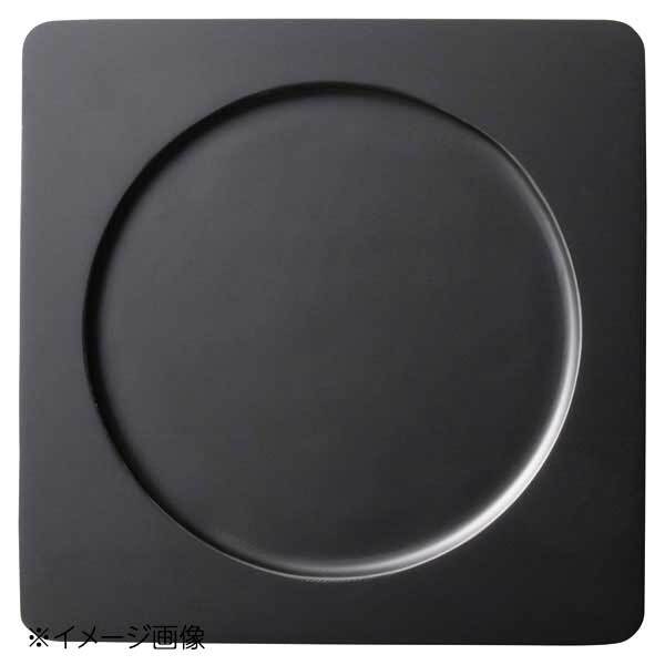 桐井陶器 モデルノ MODERNO 15cm多用トレイ 10-311拍卖