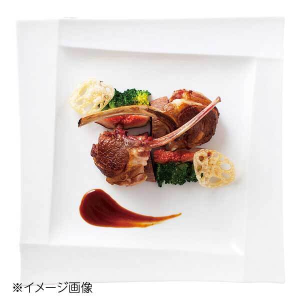 桐井陶器 モデルノ MODERNO Isora 27cmスクエアプレート 138-01拍卖