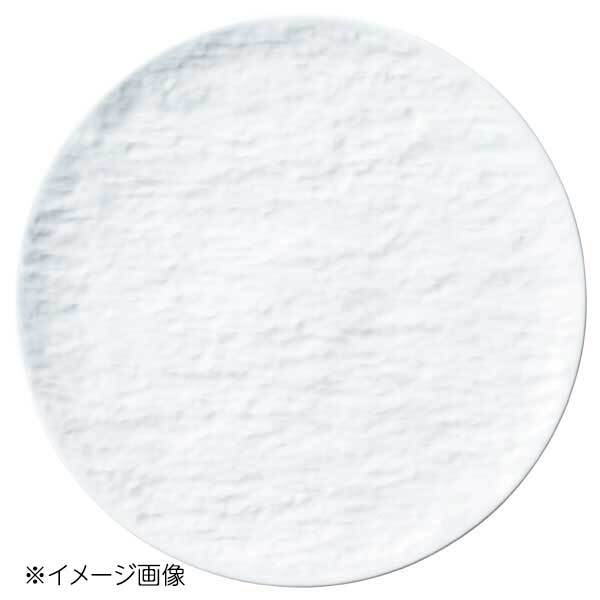 桐井陶器 モデルノ MODERNO Petra(ペトラ) PX28cm皿 34002001拍卖