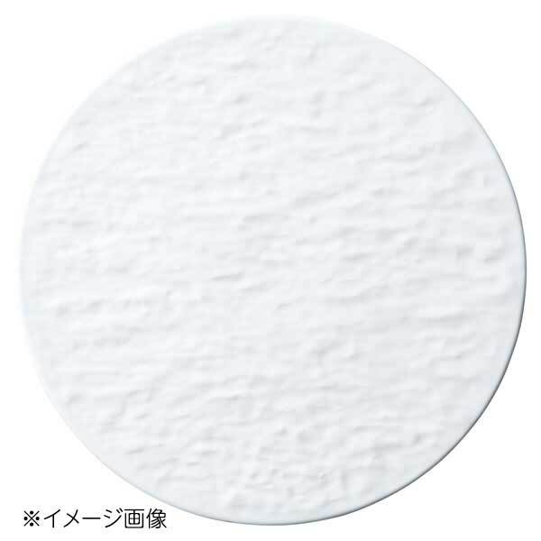 桐井陶器 モデルノ MODERNO Petra(ペトラ) 22cm平皿 34180001拍卖