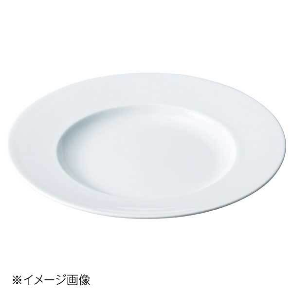 桐井陶器 モデルノ MODERNO orion 30cmパスタ皿 8513-05拍卖