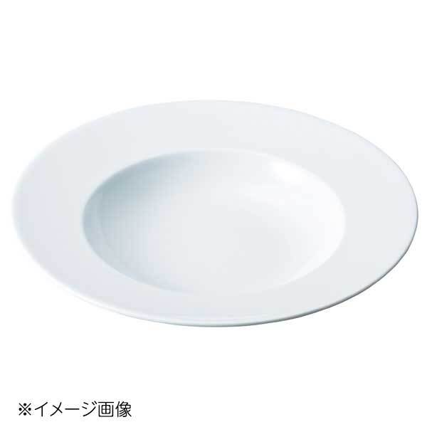 桐井陶器 モデルノ MODERNO orion 30cmパスタボウル 8513-08拍卖