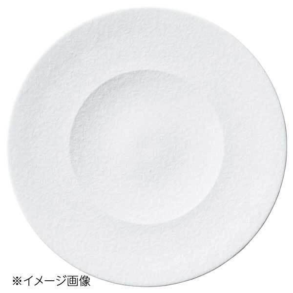 桐井陶器 モデルノ MODERNO C2 26.5cmプレート ファリナ 8577-09拍卖