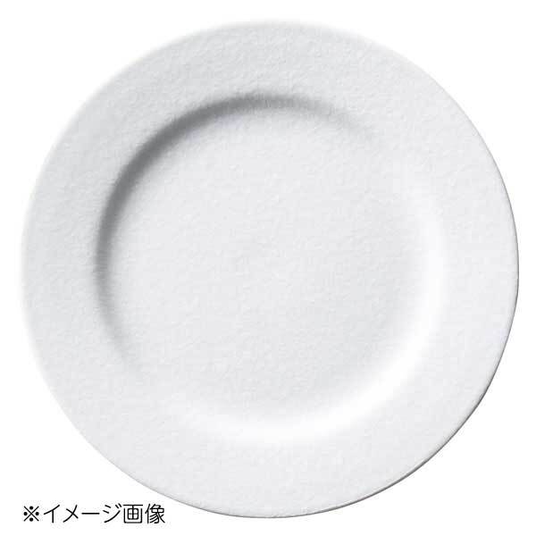 桐井陶器 モデルノ MODERNO 20cmリムプレート ファリナ 8577-01拍卖