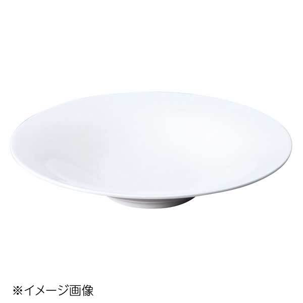 桐井陶器 モデルノ MODERNO 25cm反型パスタ AG9036A拍卖