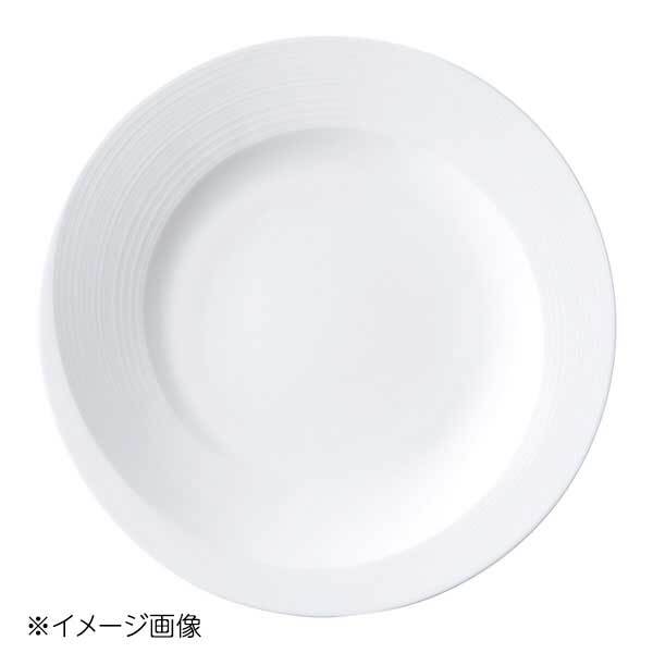 桐井陶器 モデルノ MODERNO Courant(クゥラン) 12プレート EP032拍卖